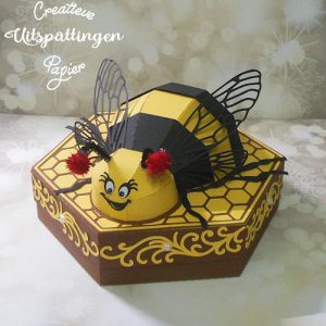 013 Bij box