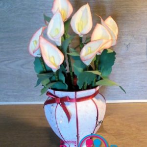 017 Calla in vaas