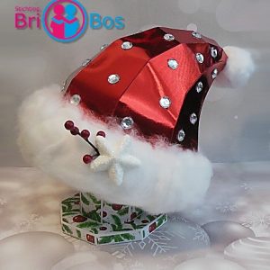 120 Kerstmuts