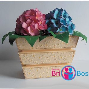 164 Hortensia