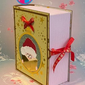 293 Adventboek